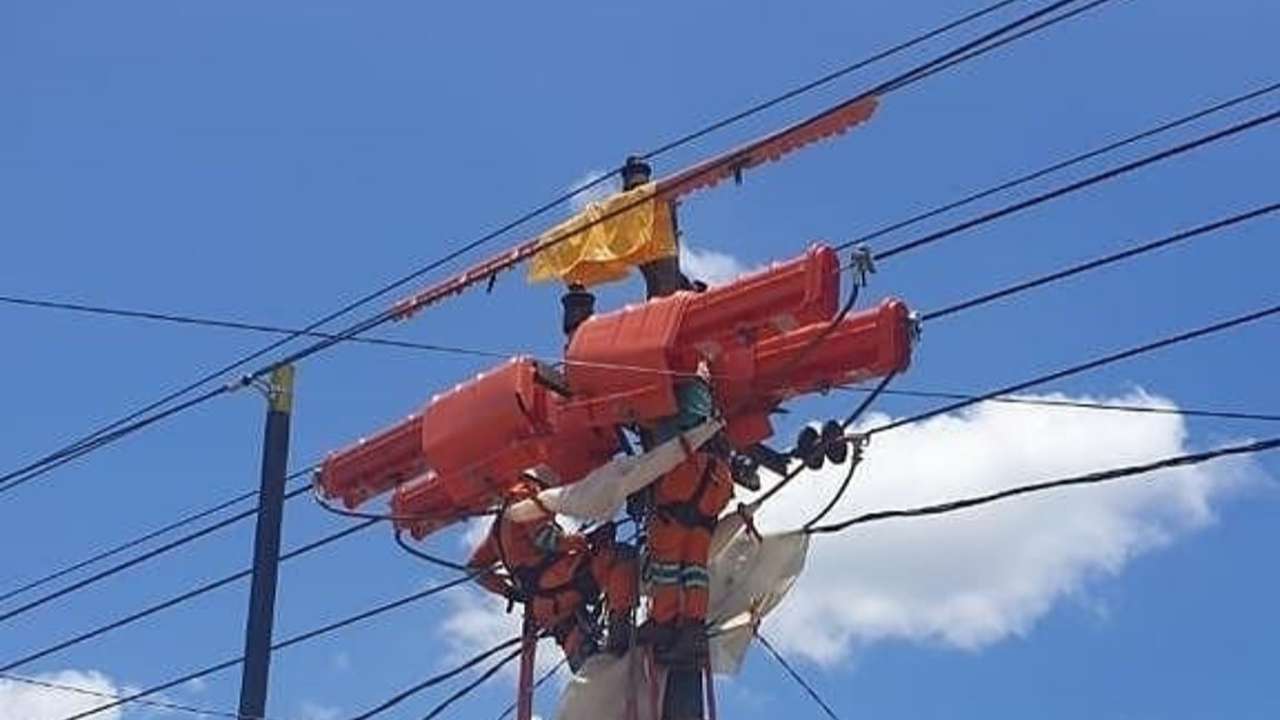 Pasukan Pekerjaan Dalam Keadaan Bertegangan (PDKB) sedang memperbaiki jaringan listrik/Foto: PDKB