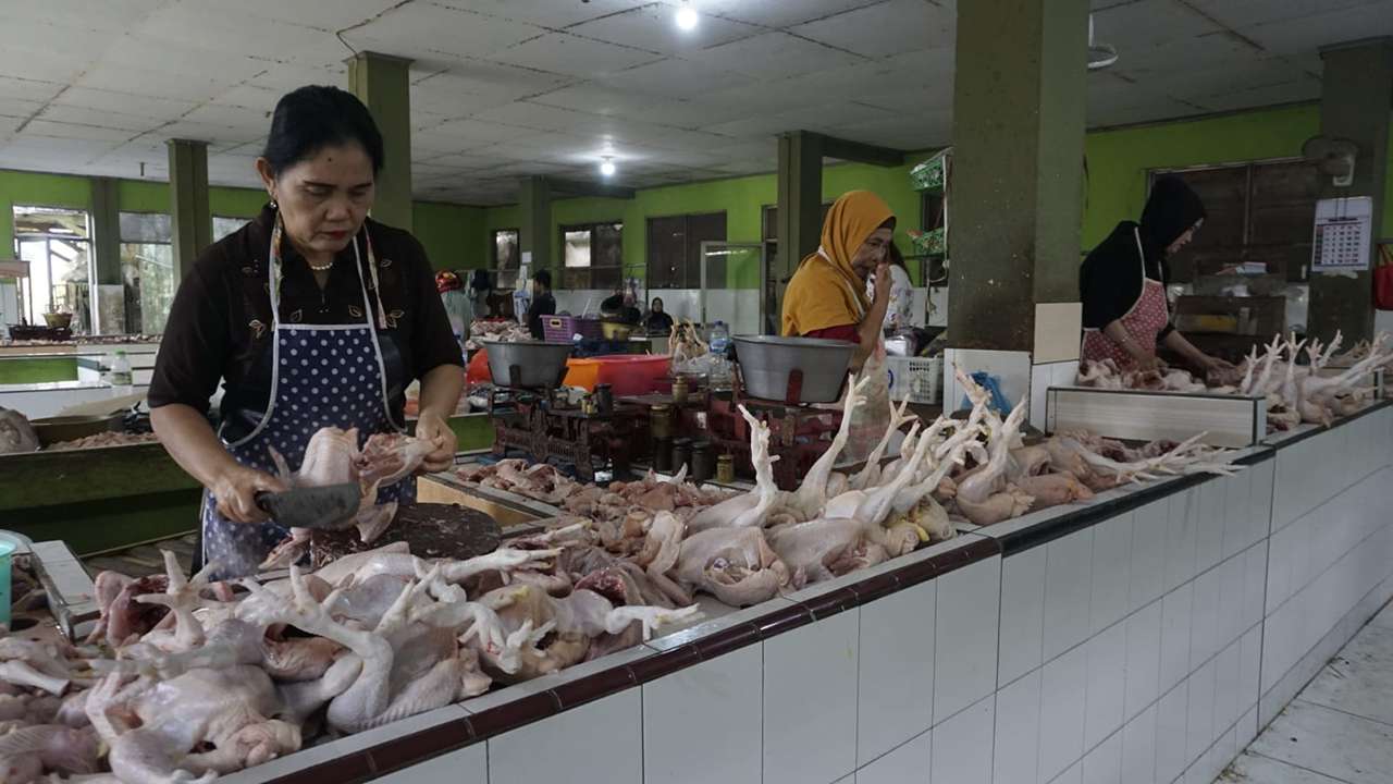 Pedagang ayam di Pasar Basah Trenggalek/Foto: Raden Zamz (Kabar Trenggalek)