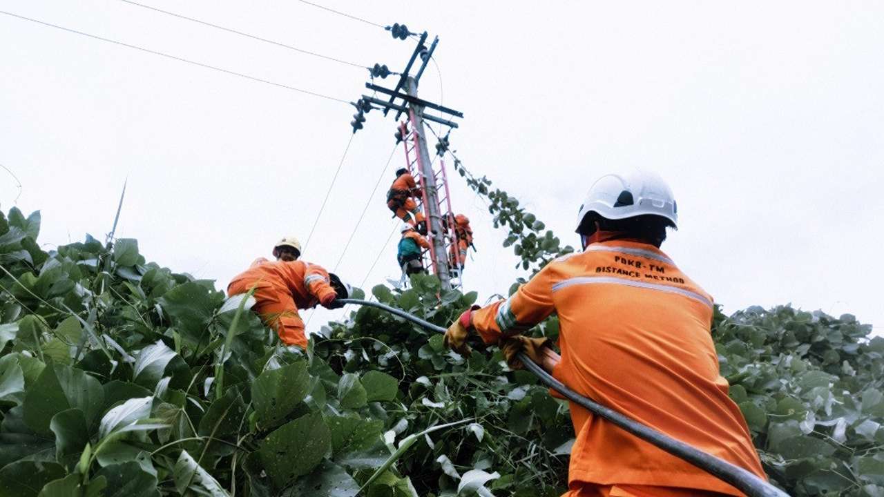 Ilustrasi. Jadwal pemadaman listrik hari ini Banyuwangi/Foto: PDKB