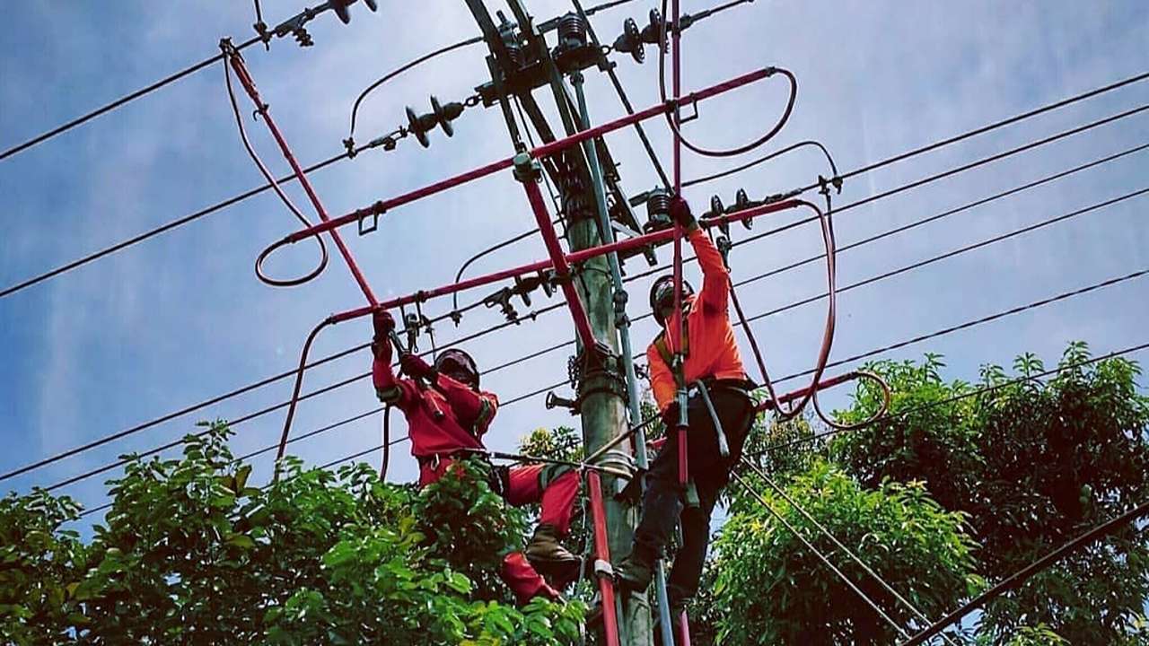 Ilustrasi. Jadwal pemadaman listrik hari ini Bali/Foto: PDKB