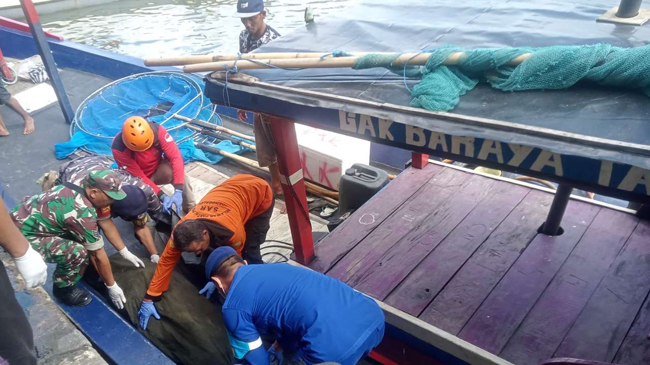 Tiga Nelayan Watulimo Trenggalek Ditemukan Tewas, Satu Masih Pencarian