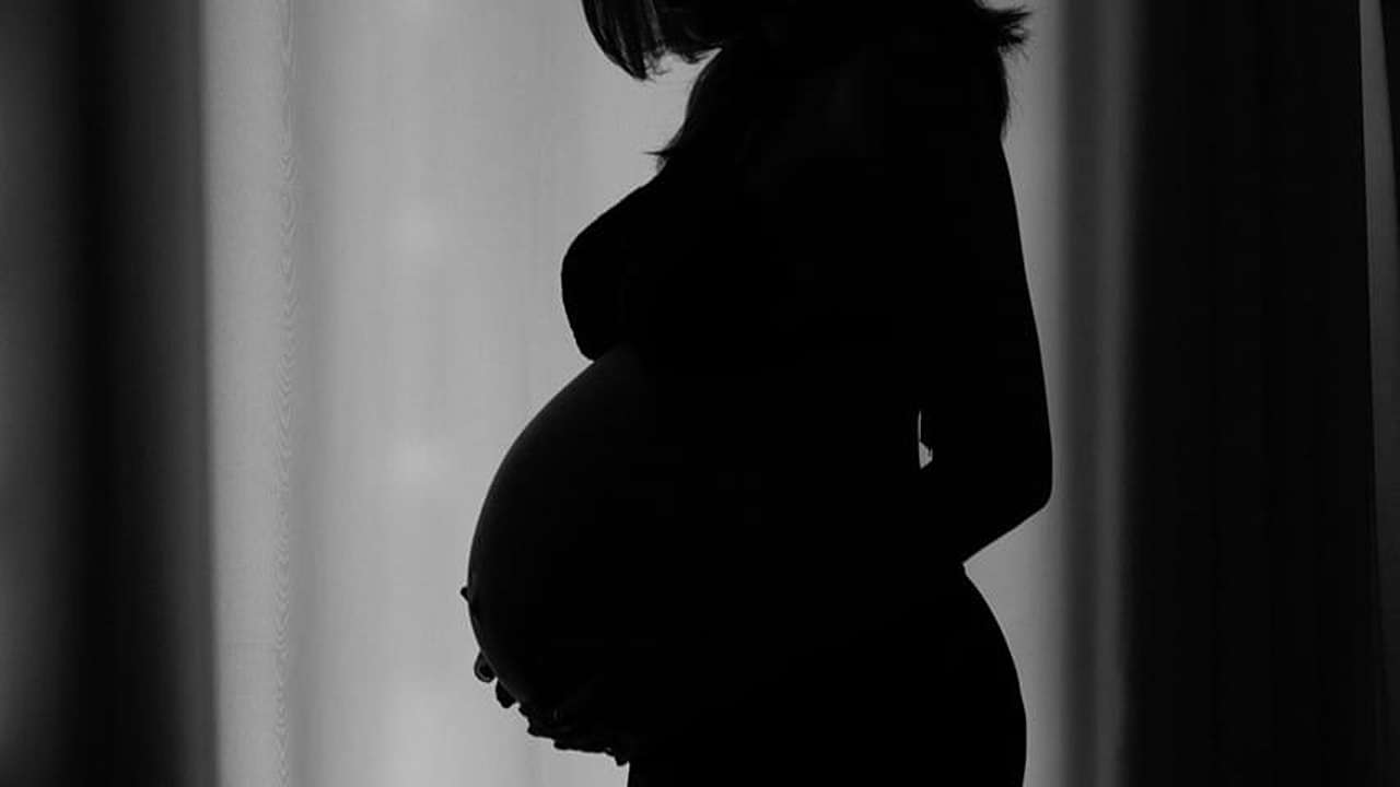 Ilustrasi perempuan hamil/Foto: Pixabay