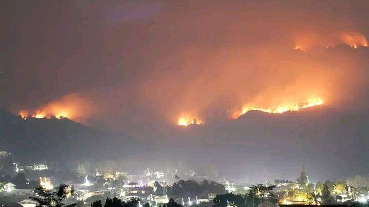 Kebakaran hutan di Gunung Arjuno Welirang, Jawa Timur/Foto: BPBD Jatim