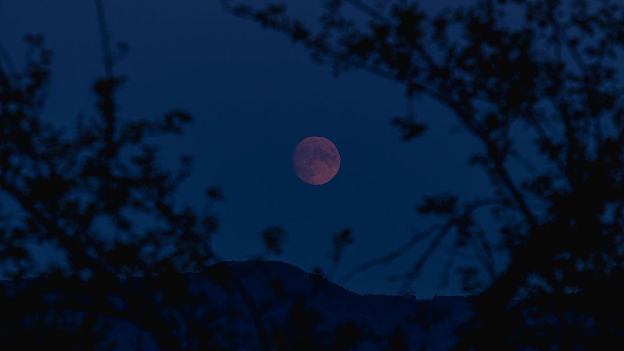 Ilustrasi. Gerhana bulan nanti malam di Trenggalek/Foto: Andreas (Pexels)