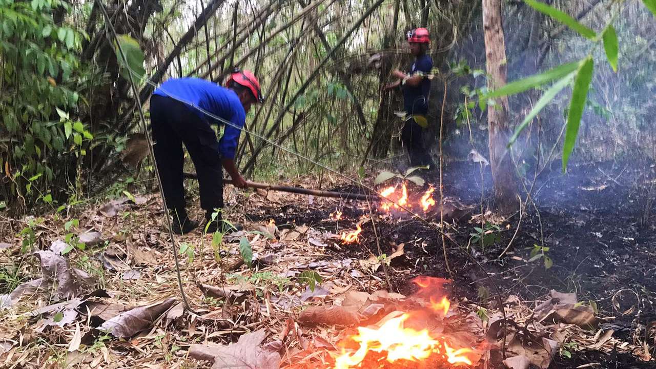 Hutan Trenggalek Kembali Dilalap Api, Dua Hektare Lahan Hangus