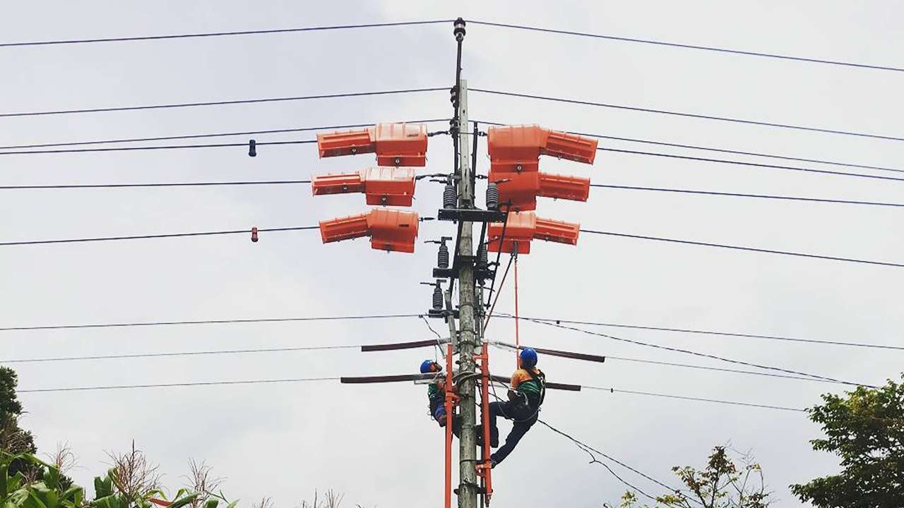 Ilustrasi. Jadwal pemadaman listrik Surabaya hari ini/Foto: PDKB