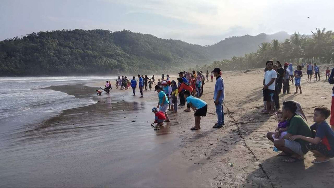 Pelepasan tukik ke Teluk Sumbreng, Kecamatan Munjungan, Kabupaten Trenggalek/Foto: Dokumen Pokmaswas Mutiara Laut