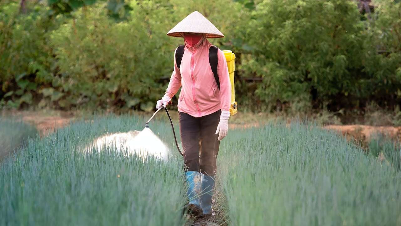 Petani menyirami lahan dengan pupuk/Foto: Tran Nam Tepung (Pexels)