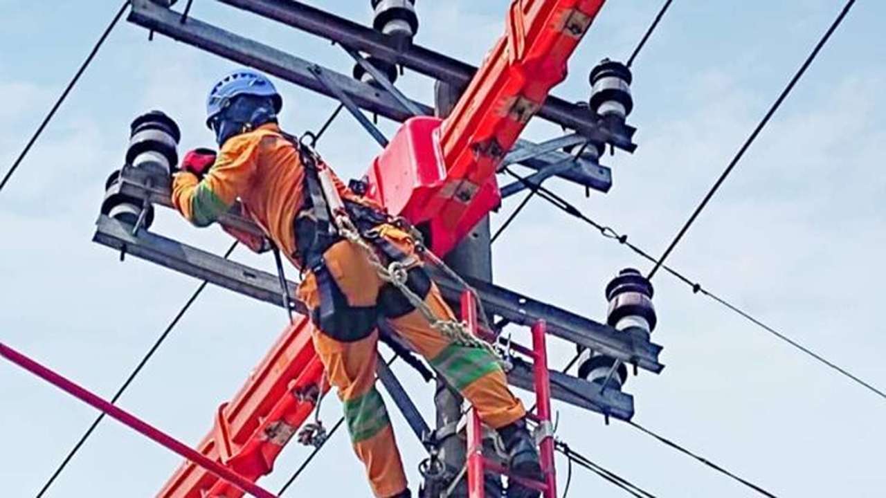 Petugas memperbaiki jaringan listrik PLN/Foto: PDKB