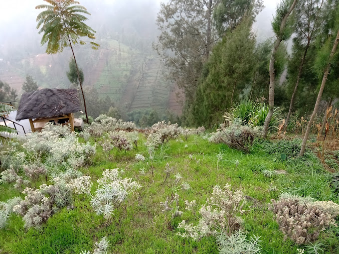 panorama-di-desa-wisata-edelweiss-pasurauan