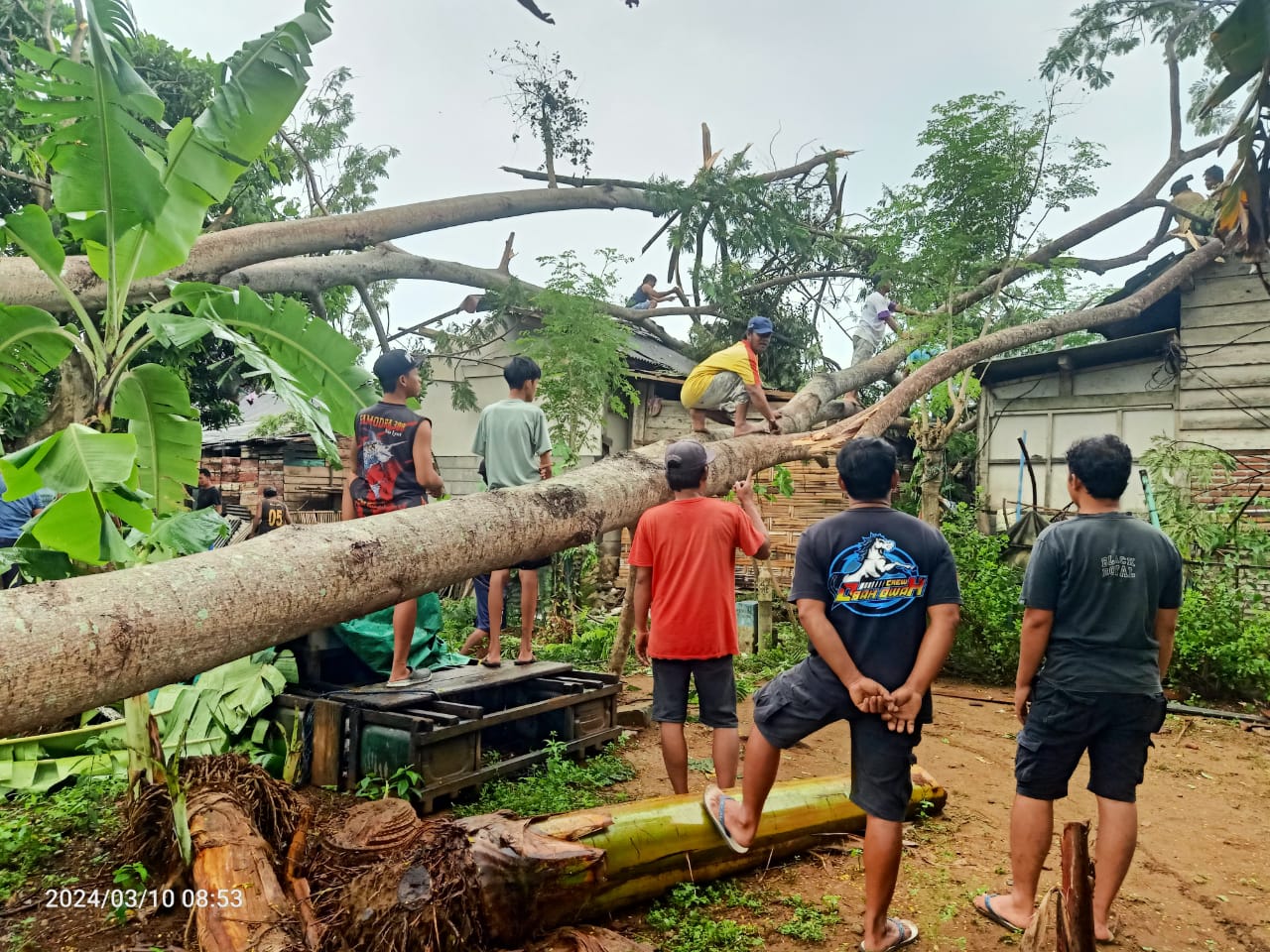 BPBD Trenggalek bersama warga, TNI dan Polri berupaya membersihkan dampak bencana. (foto: dokumentasi BPBD)