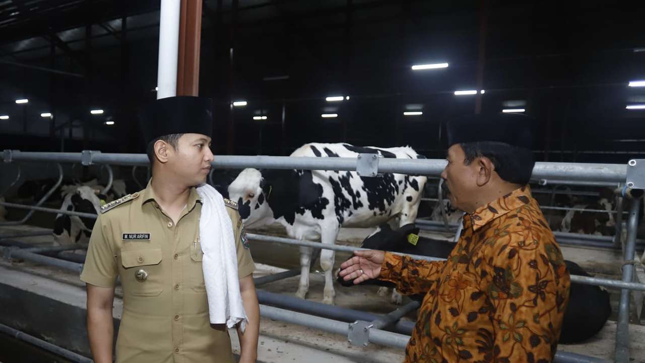 Ada Investor Sapi Perah di Bendungan, Mas Bupati Trenggalek: Saya Dukung