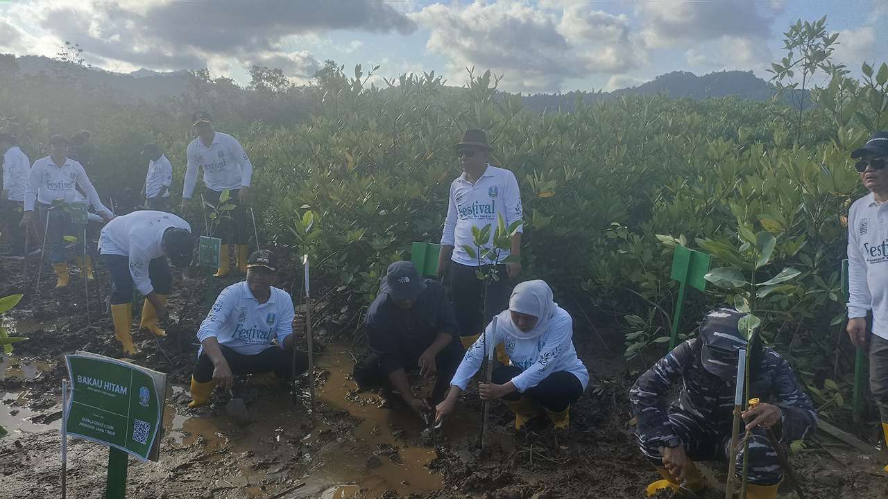 Mangrove di Jawa Timur Semakin Kritis, Degradasi 841 Hektare Setiap Tahun