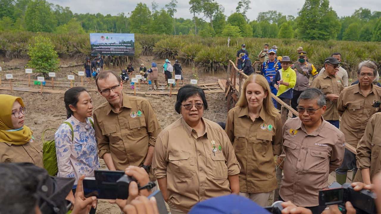 WALHI Ungkap 3 Bukti Absennya Keseriusan Pemerintah Indonesia dalam Melindungi Mangrove