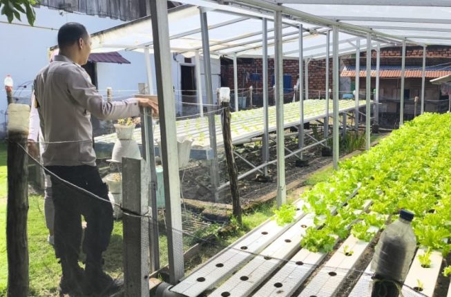 abvvvvvvvvvvvvvvvvvvvvvvvvvvvVvvvvvVvvvvvvvvv