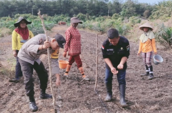 accccccccccccccccccccccccccccccccccccc