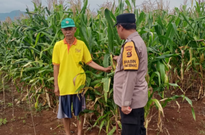 Screenshot 2026-01-21 143354