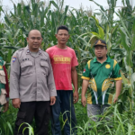 Screenshot 2026-01-22 165347