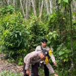 Screenshot 2026-01-27 122843