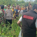 Screenshot 2026-01-28 155058