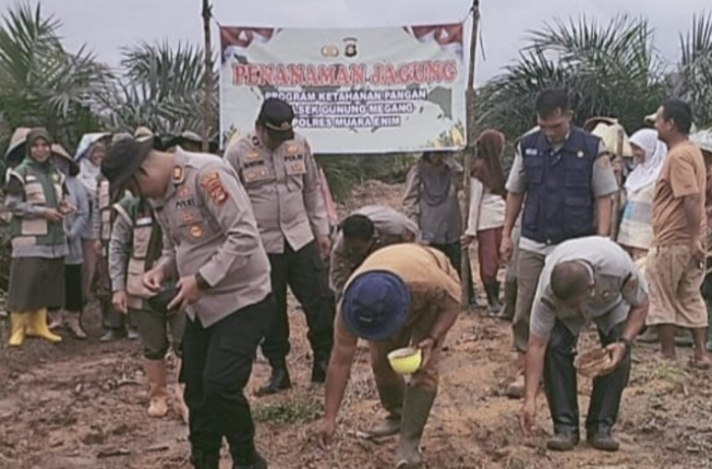 Screenshot 2026-02-11 172754