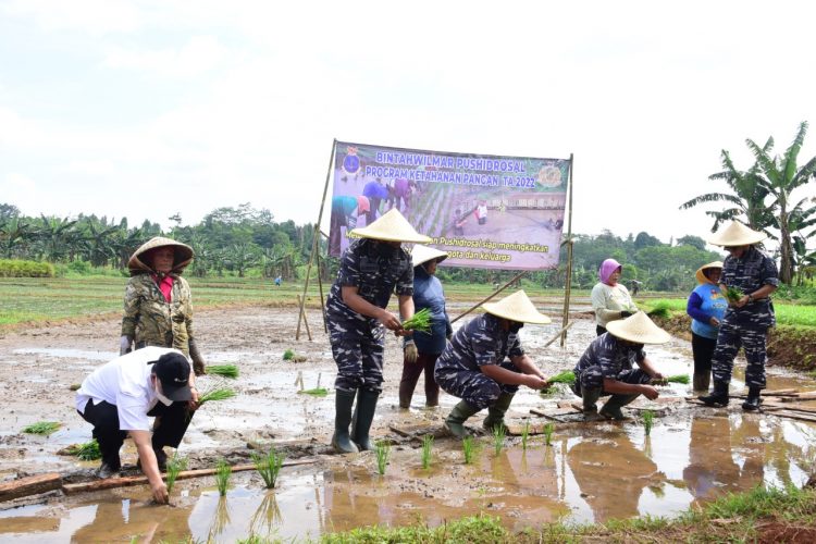 Pushidrosal tanam di Bogor, Rabu (23/3).