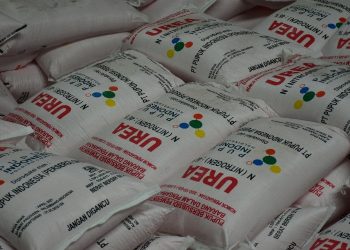 Ilustrasi pupuk subsidi langka di Kabupaten Dairi, Senin (4/4).