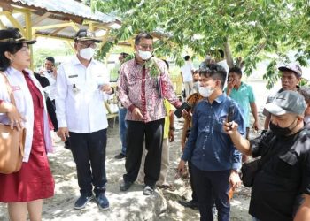 Bupati Ir. Poltak Sitorus didampingi beberapa Ka. OPD Pemkab Toba saat tinjau maraknya ikan predator di Danau Toba, Kamis (7/4).