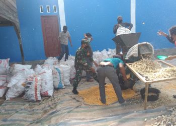 Serda Muazzin Babinsa Koramil 02/ Bambel jajaran Kodim 0108/ Agara saat bantu petani giling jagung, Kamis (12/5).