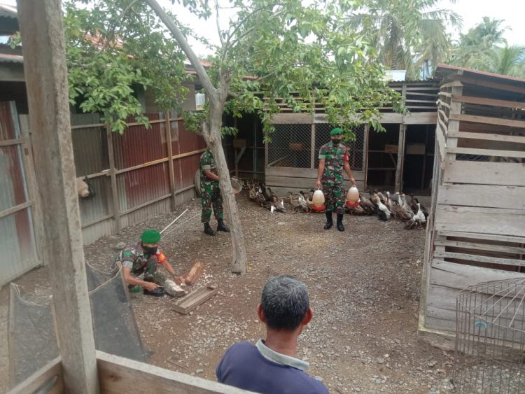 Babinsa Posramil Lawe Bulan jajaran Kodim 0108/Agara, Serda Turwadi bersama rekan saat kunjungi peternakan bebek warga binaan,  Rabu (18/5).