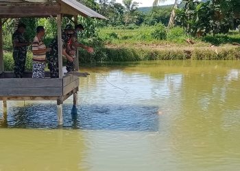 Babinsa Posramil Darul Hasanah, Sertu Suhardi saat melaksanakan kegiatan pendampingan budidaya ikan mas milik Serahri Ariga (53) di Desa Pulo Gadung, Kecamatan Darul Hasanah, Kabupaten Aceh Tenggara, Senin (23/5).