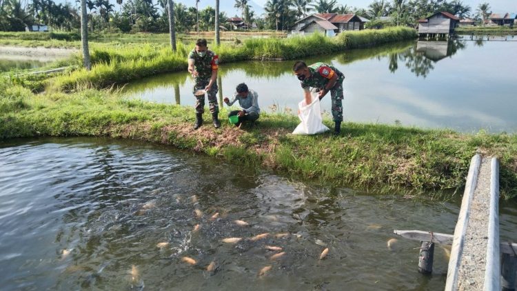 Babinsa Posramil Deleng Pokhisen, Serma Bornok Saragih komsos bersama Ibu Winda peternak ikan, Rabu (1/6).