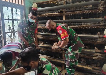 Babinsa Koramil 01/Lawe Sigala jajaran Kodim 0108/ Aceh Tenggara, Sertu Mirja antoni, Serda Joko dan Serda Dwi saat komsos ke peternakan burung puyuh milik warga binaan, Senin (6/6).