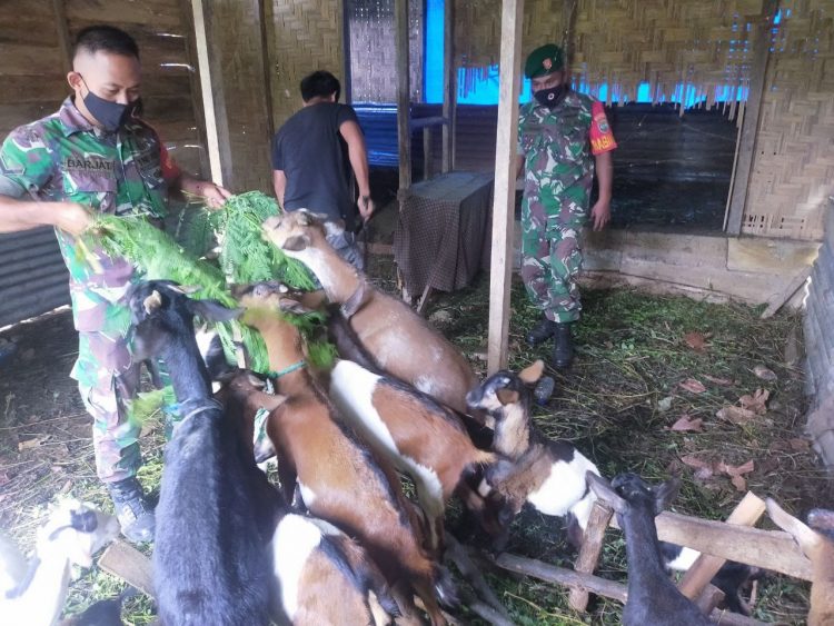 Babinsa Posramil Louser, Serda Barjat bersama rekan saat motivasi peternak kambing, Selasa (7/6).