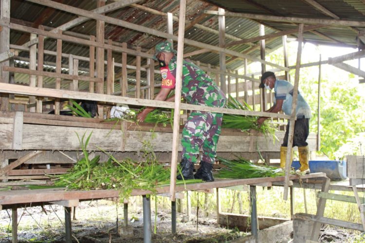 Serda Semedi Joko Sisilo yang sudah sukses menekuni budidaya ternak kambing etawa, Kamis (9/6).
