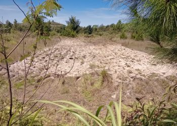 Lahan sekolah yang sedang diserobot warga, Jumat (10/6).