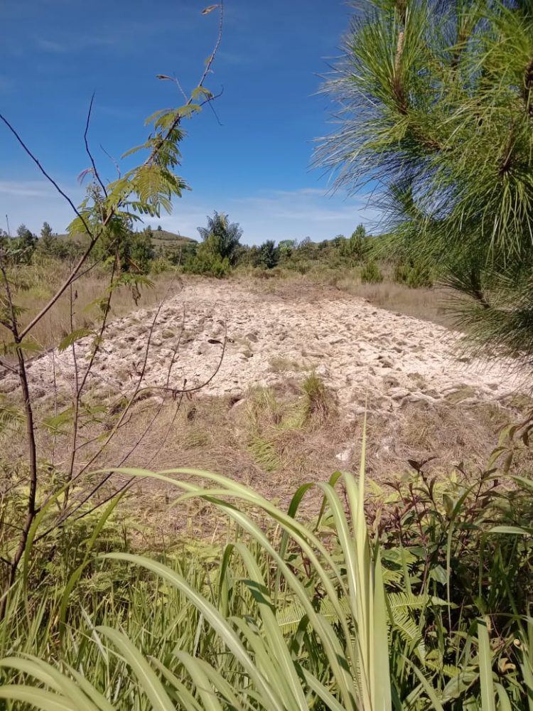 Lahan sekolah yang sedang diserobot warga, Jumat (10/6).