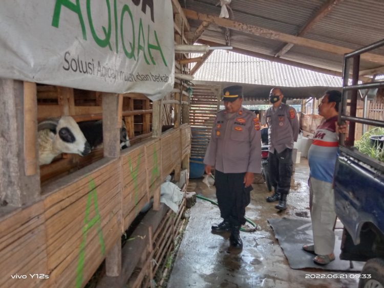 Kasat Binmas Polres Tasikmalaya Kota, IPTU. Dede Tarman SH saat pantai PMK di ternak sapi, Selasa (21/6).