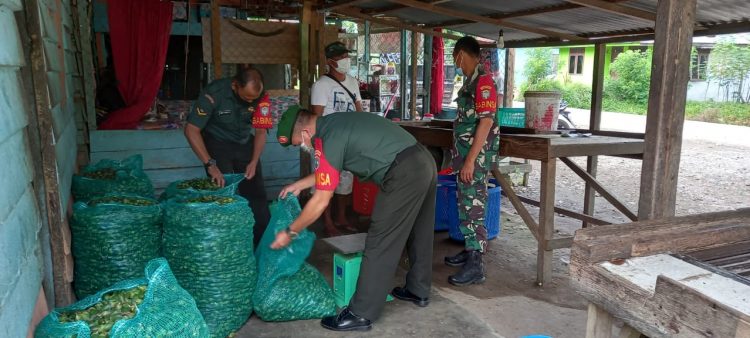 Babinsa Posramil Bukit Tusam, Sertu Edi Purnama bersama rekan Babinsa jajaran Kodim 0108/ Agara saat giat komsos bersama warga binaan pengusaha pinang, Kamis (23/6).