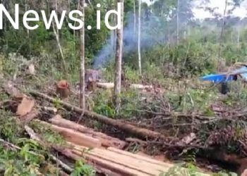 Lokasi hutan di Desa Parbuluan 6, Kecamatan Parbuluan Kabupaten Dairi yang sudah gundul, Jumat (24/6).