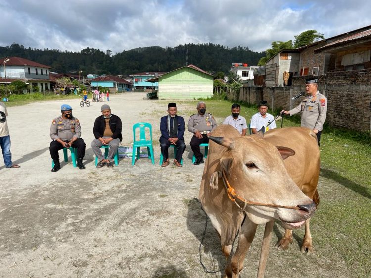 Kapolres Tapanuli Utara, AKBP. Ronal FC Sipayung SH, SIK, MH didampingi Kasat Lantas AKP. Soya Lato dan Kasat Narkoba AKP. Rasoki Harahap saat menyerahkan hewan qurban sapi bagi masyarakat muslim Taput, Sabtu (9/7).
