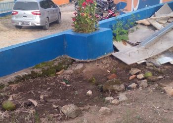 Agrowisata Desa Sempung Polling, Kecamatan Lae Parira, Kabupaten Dairi - Sumatera Utara, Minggu (10/7).