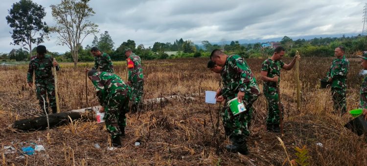Prajurit Kodim 0206/ Dairi saar menanam jagung dilahan seluas 1Ha, Senin (11/7).