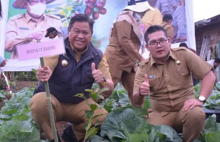 Bupati Dairi, Dr. Eddy Keleng Ate Berutu didampingi Kadis Pertanian, Robot Simanullang bersama petani penerima KUR klaster melakukan penanaman kopi di Desa Perjuangan, Kecamatan Sumbul, Kabupaten Dairi - Sumatera Utara, Selasa (12/7).