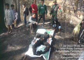 Korban terbakar saat dievakuasi jajaran Polsek Muara, Koramil  Muara dibantu warga di Hutan Dusun Buntu Raha, Desa Sitanggor, Kecamatan Muara, Kabupaten Taput - Sumut, Minggu (17/7).