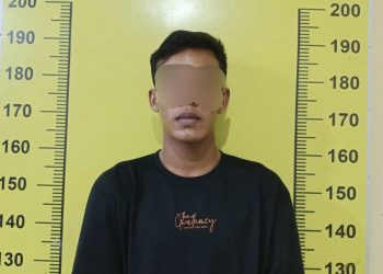 Tersangka, MR jaringan pengedar ganja antar provinsi saat diamankan di Mapolresta Deliserdang, Selasa (19/7).
