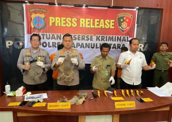 Polres Taput saat konferensi pers pengungkapan penjualan sisik trenggiling dan paruh burung rangkong gading, Selasa (9/8).