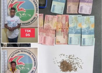 Barang bukti dan kedua tersangka pengedar ganja saat diamankan di Polres Dairi, Senin (22/8).