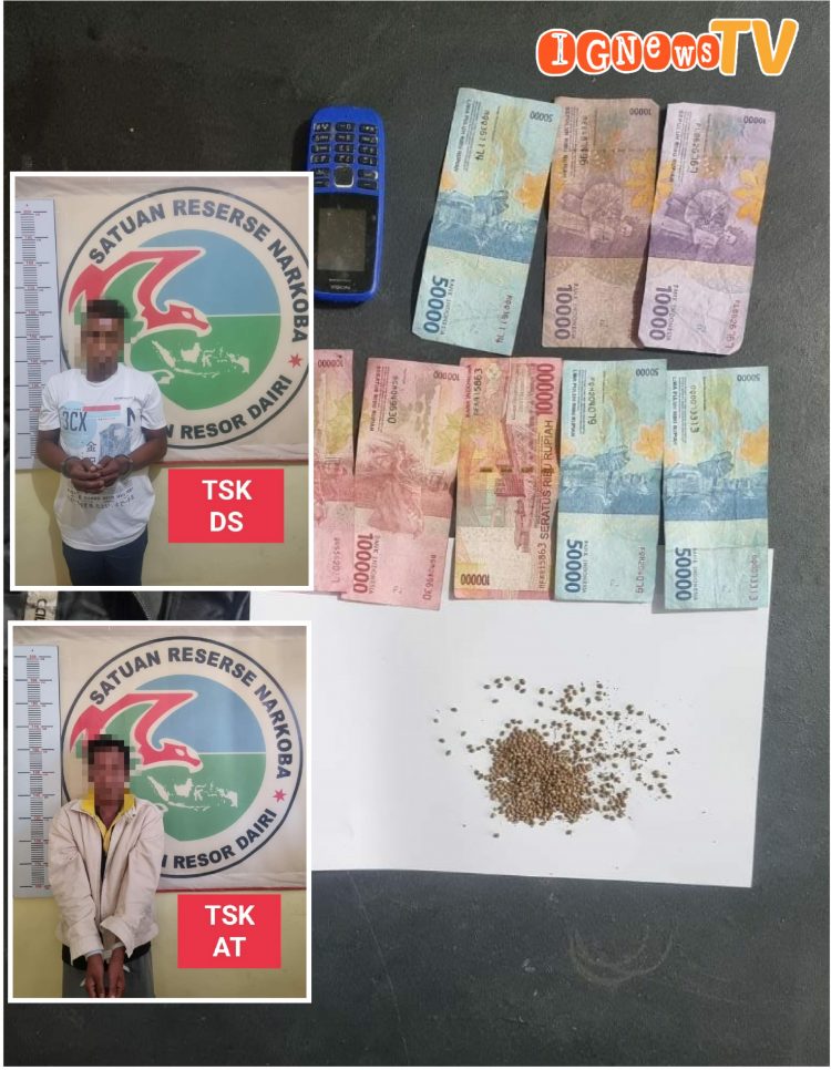 Barang bukti dan kedua tersangka pengedar ganja saat diamankan di Polres Dairi, Senin (22/8).