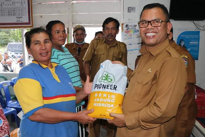 Bupati Toba, Poltak Sitorus saat menyerahkan bibit jagung secara simbolik, Senin (26/9).